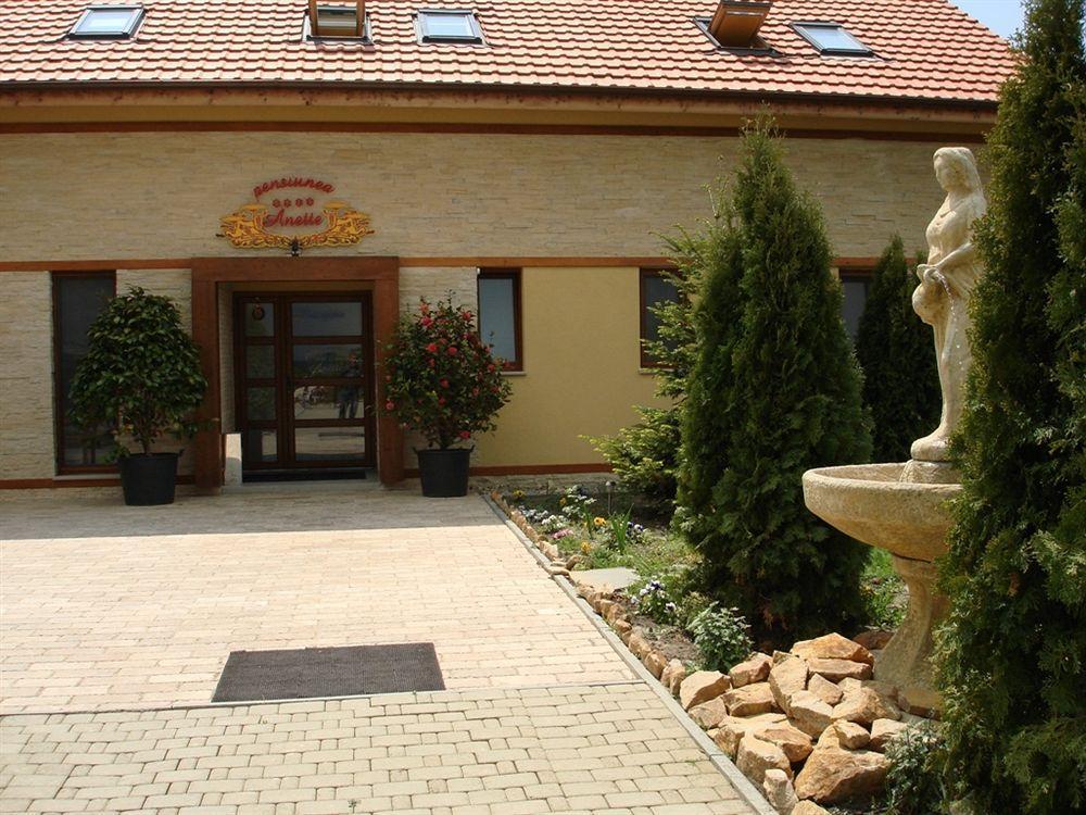 Anette Resort & Spa Covaci エクステリア 写真